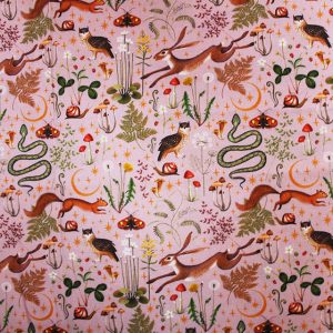 Little Johnny - Autumn Forest