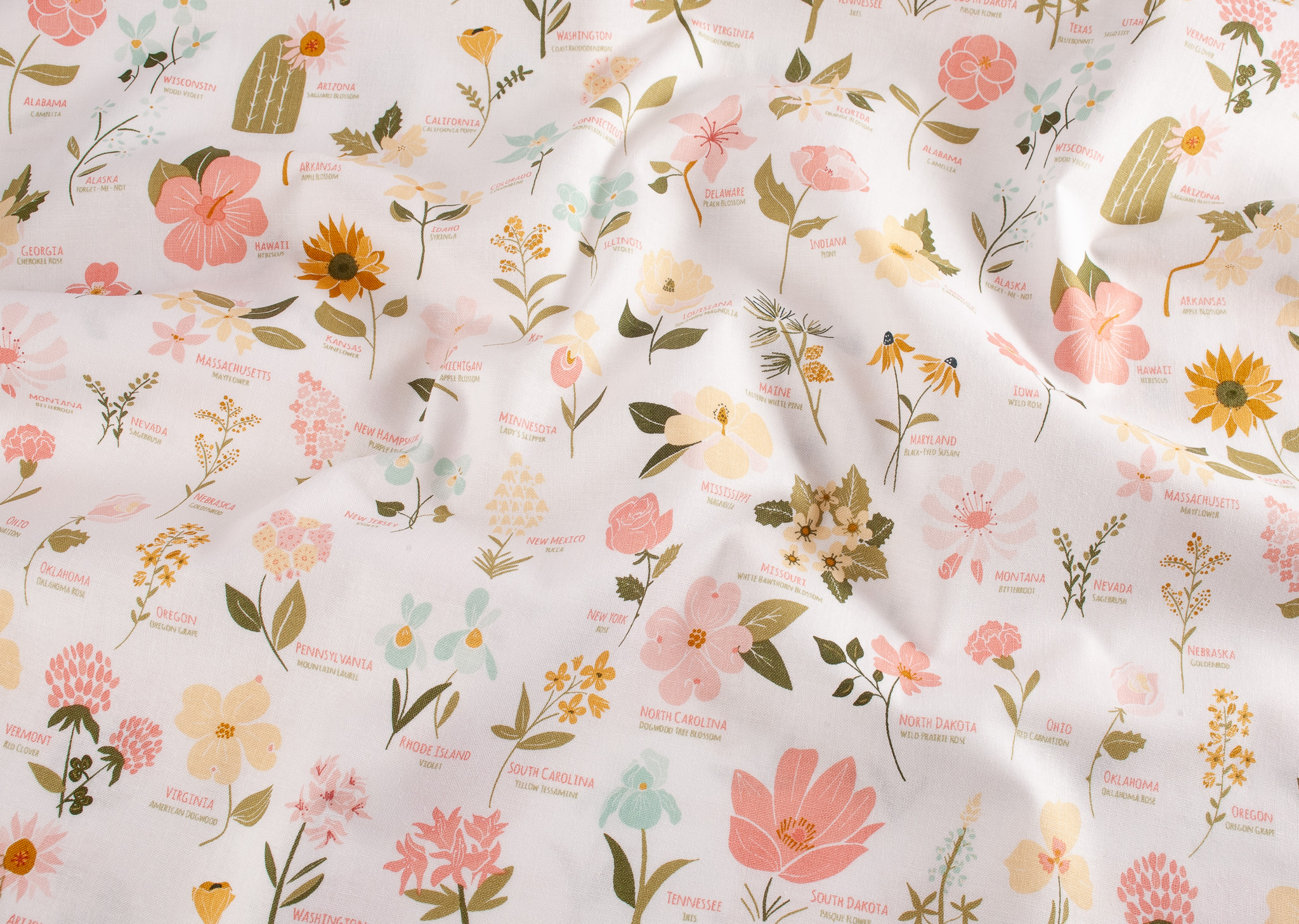 Riley Blake's Wild and Free - White - 0.5m piece - Image 2