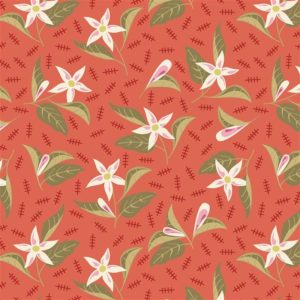 EQP Beyond Time - Jasmine Tomato