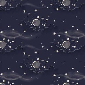 Michael Miller - Nocturnal Garden: Moonsky Navy