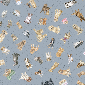 Maywood Studio Fabrics - Whiskers & Paws Dogs Blue