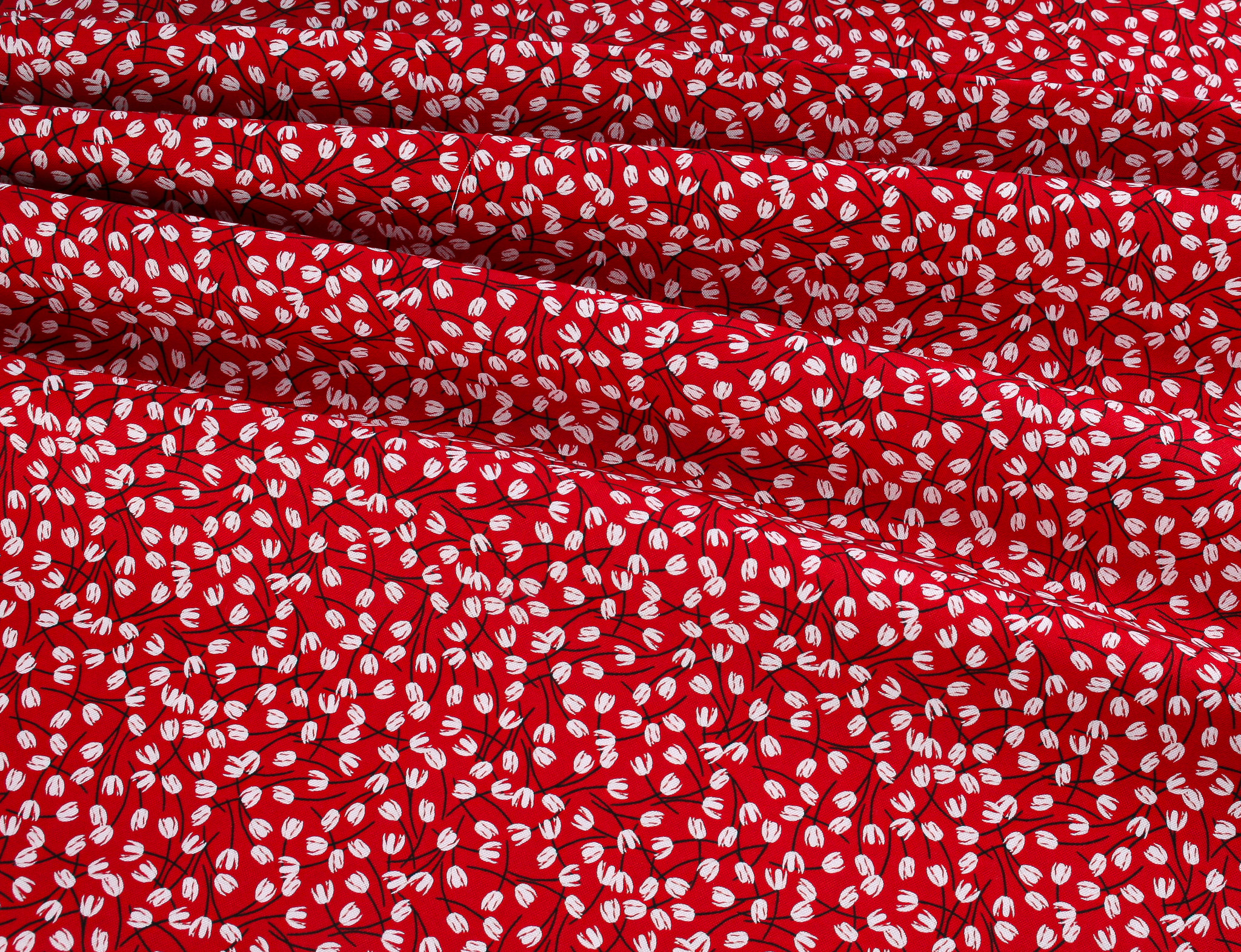 Blooms and Bows - Tulips Blossom