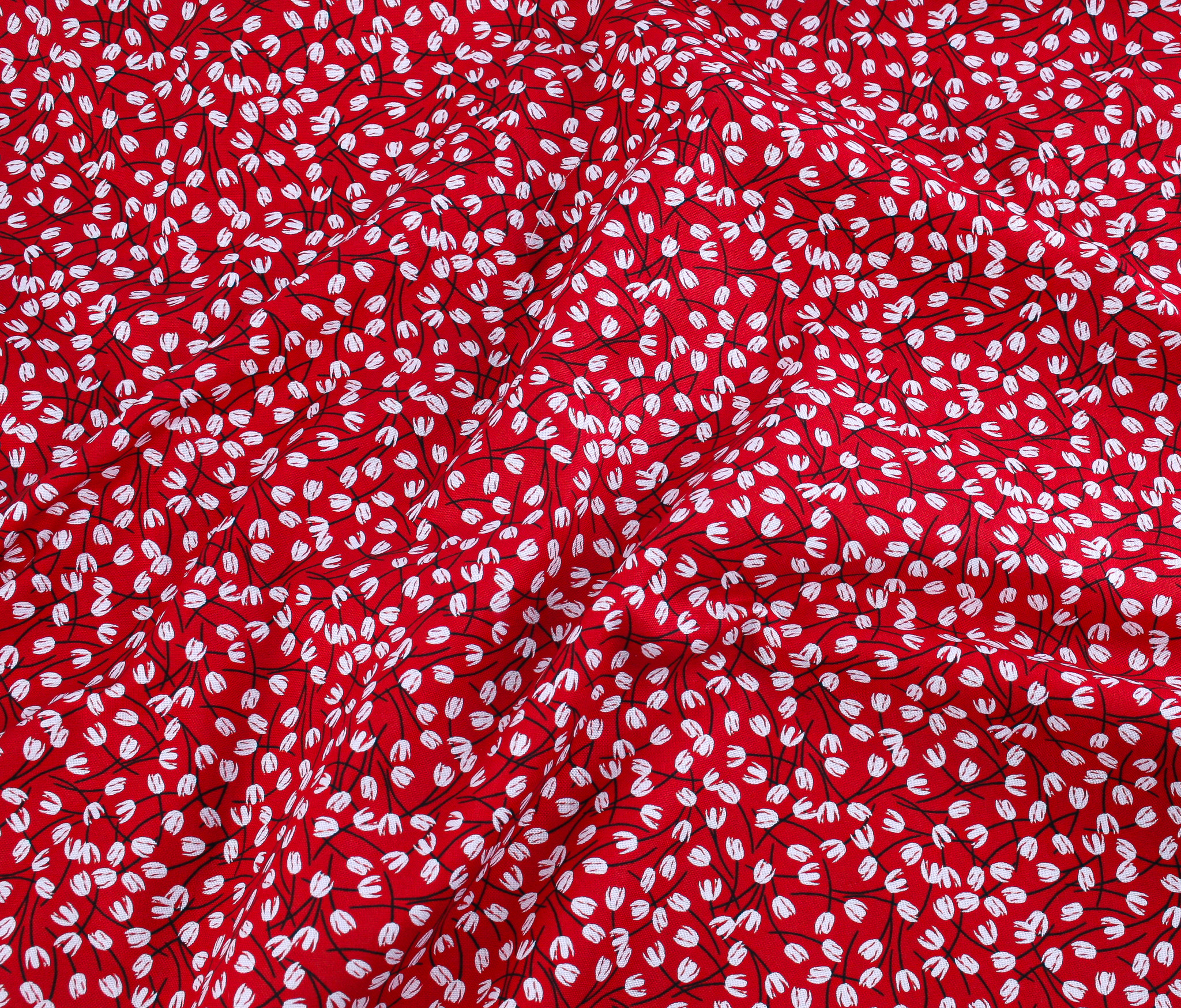 Blooms and Bows - Tulips Blossom - Image 2