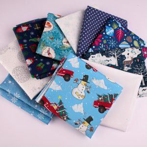 Mystery Bundle- Ten Fat Quarters - Cool Christmas