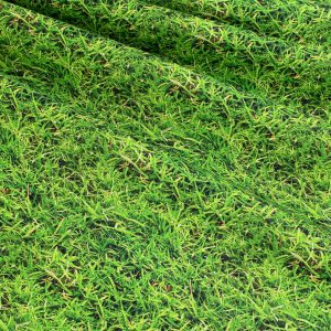 World Textures - Grass