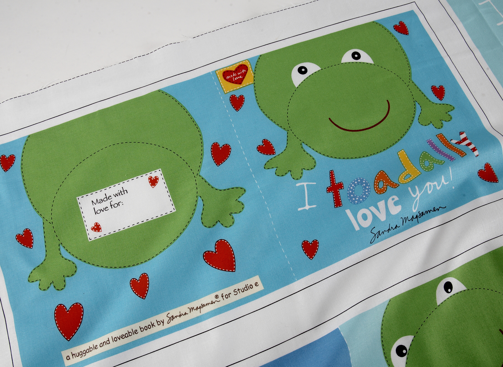 Huggable & Loveable Book Panel - Frogs