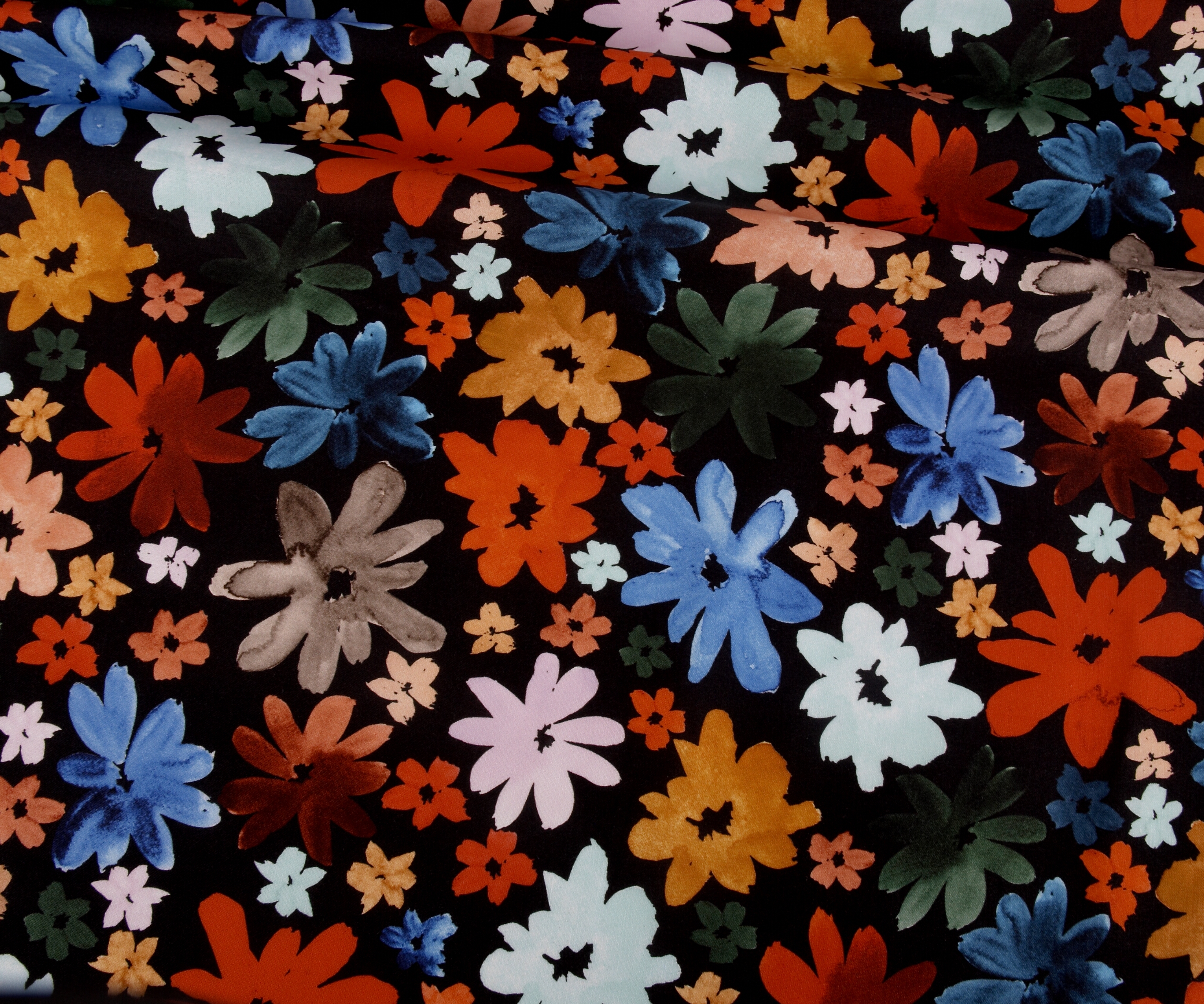 Wild Daisy Black - Michael Miller Fabrics