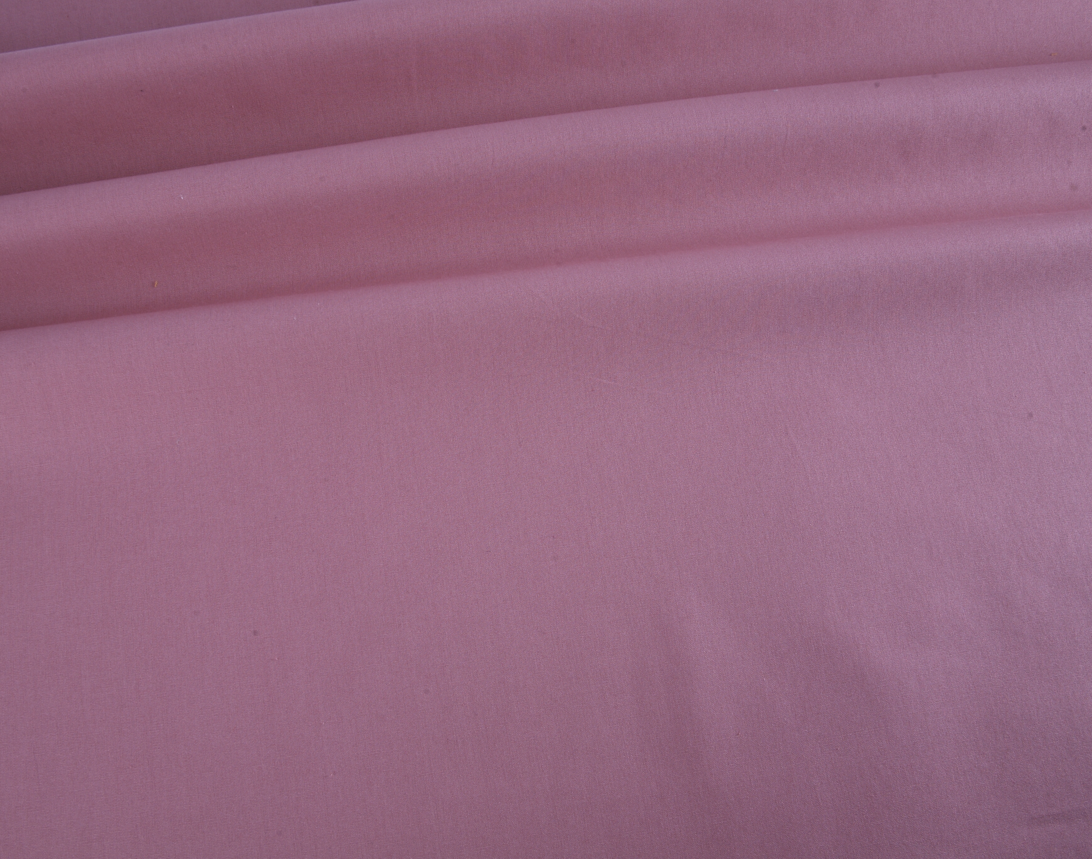 Premium Plain Cotton Poplin - Blush Pink