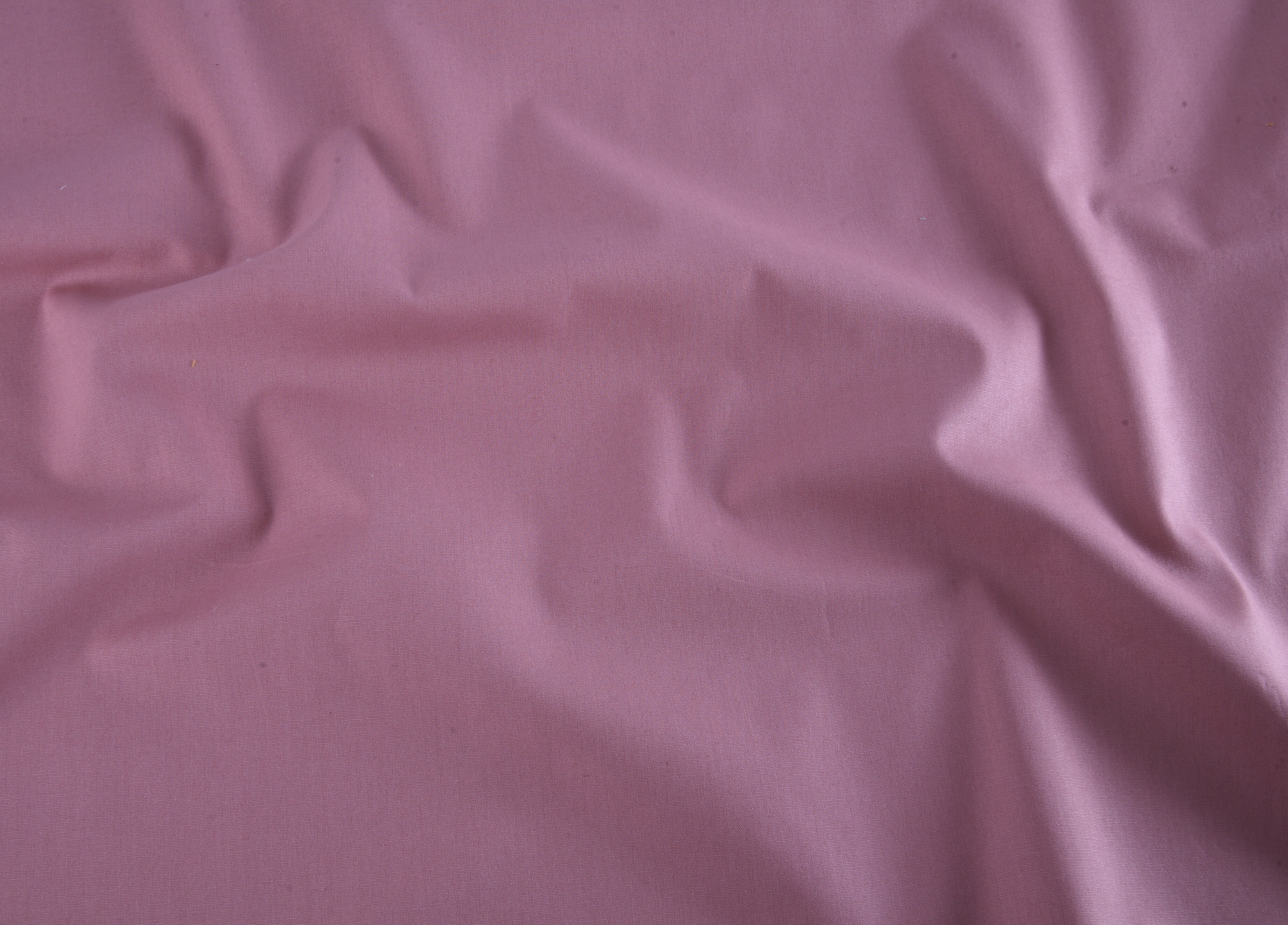 Premium Plain Cotton Poplin - Blush Pink
